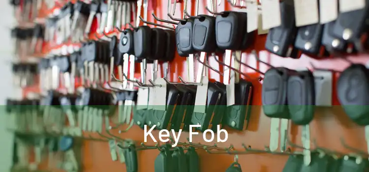  Key Fob 